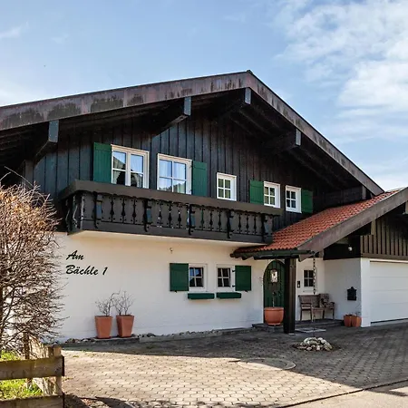 Braun 2 *