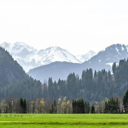 Braun 2 博尔斯特尔朗