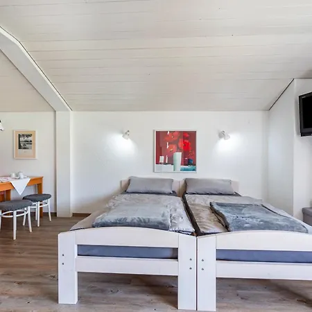 Apartmán Braun 2 *
